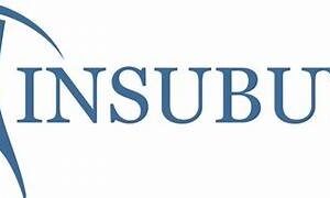 insubuy.com