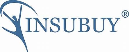 insubuy.com