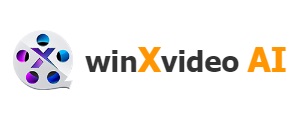 winxvideo ai